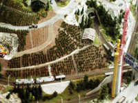 SUNP0055  Weinberge