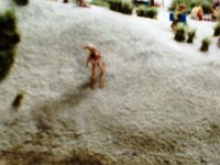 SUNP0140  Sandski