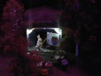 20150420 102749  Hase
