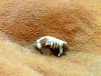 20150420 154550  Die Wüste