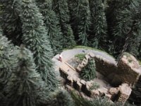 20150420 160740  Ruine im Wald