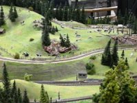 20150420 160831  Kühe auf der Weide