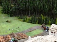20150420 161309  Holzarbeit