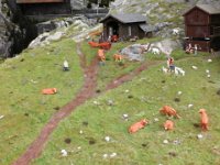 20150420 161626  friedliche Kühe