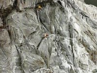 20150420 161737  Klettern
