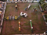20150420 163854  Pferdedressur
