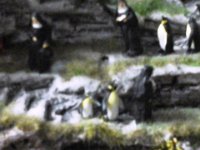 20150420 171327  Alle in schwarz und weiss