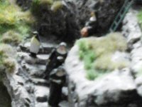 20150420 171334  Klostervögel