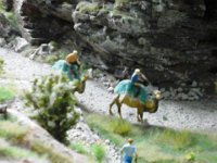 20150420 171408  Camelreiter