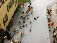 20150420 180042  Hilfe die Tiere sind los